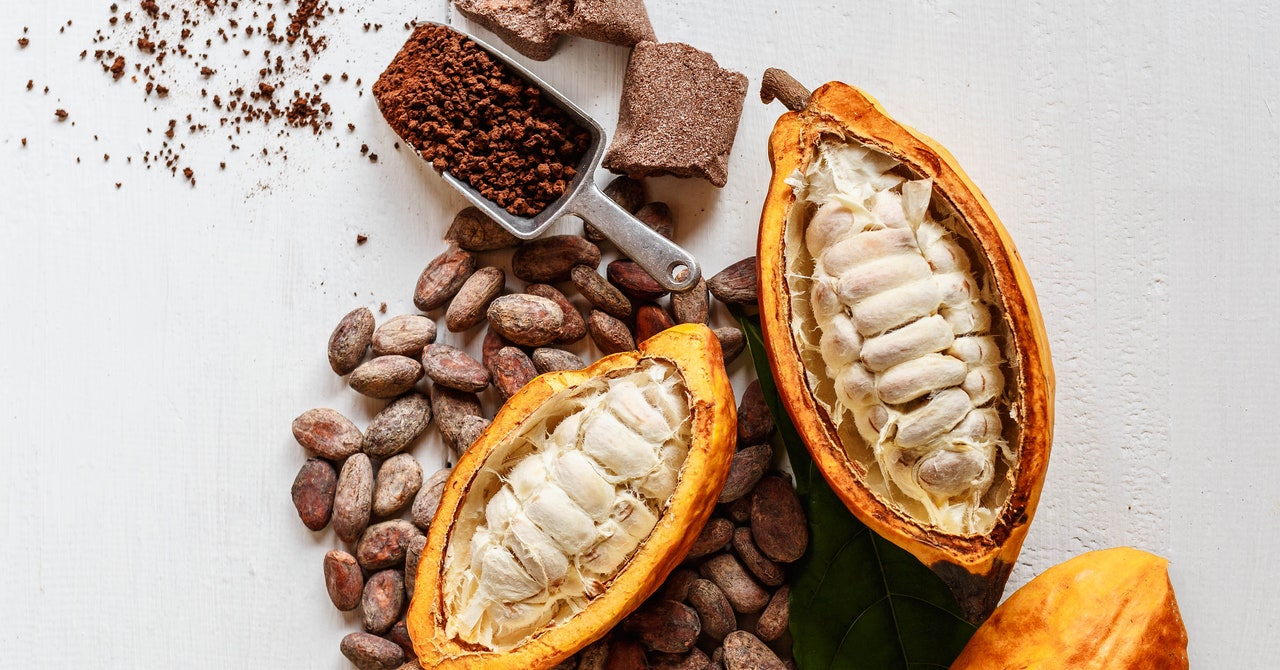 Chocolate Has a Sustainability Problem. Science Thinks It’s Found the Answer Chocolate Has a Sustainability Problem. Science Thinks It’s Found the Answer