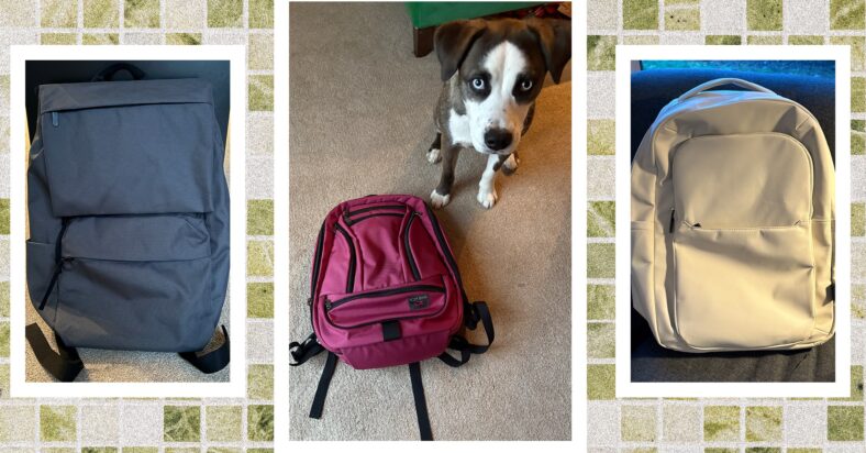 Best Laptop Backpacks We’ve Tried and Tested (2025) Best Laptop Backpacks We’ve Tried and Tested (2025)