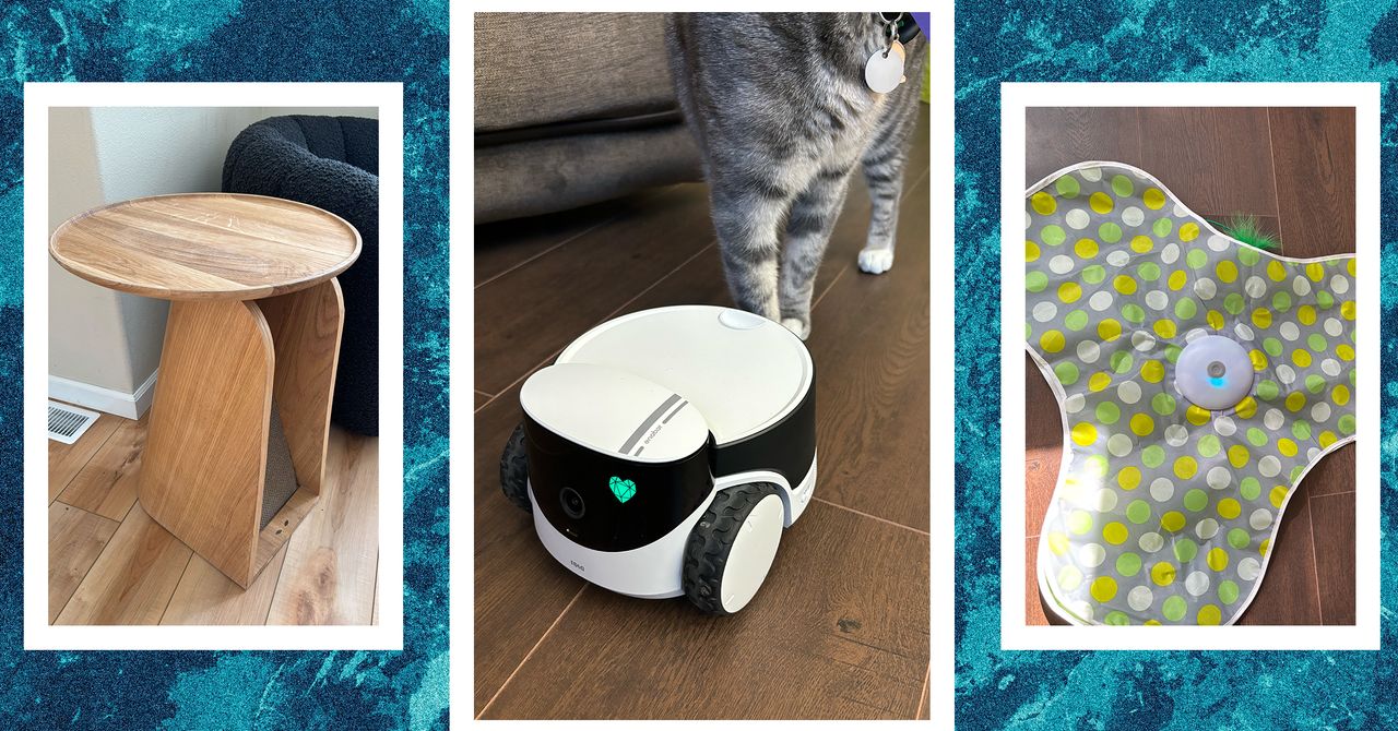 The Best Cat Toys for Your Furry Friend (2025) The Best Cat Toys for Your Furry Friend (2025)