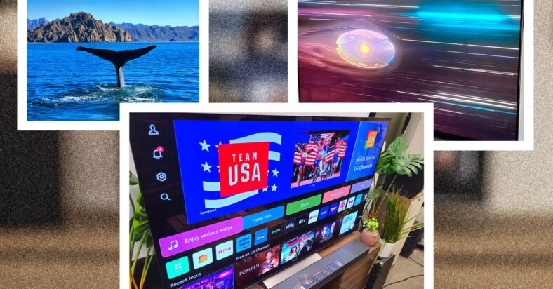 The Best TV Deals on 2024 Models to Skip the Tariffs The Best TV Deals on 2024 Models to Skip the Tariffs