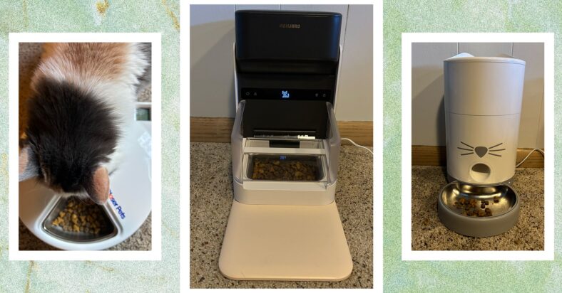 These 8 Automatic Cat Feeders Were the Best We Tested These 8 Automatic Cat Feeders Were the Best We Tested