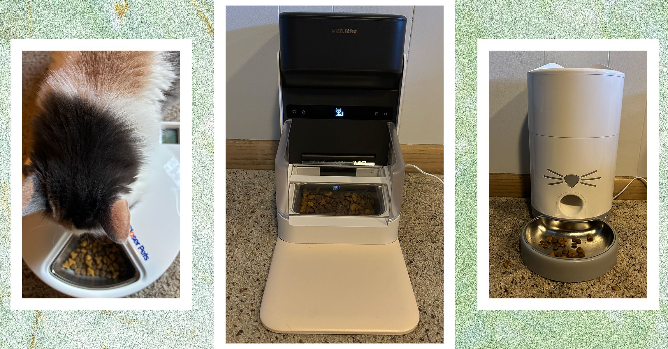 These 8 Automatic Cat Feeders Were the Best We Tested These 8 Automatic Cat Feeders Were the Best We Tested