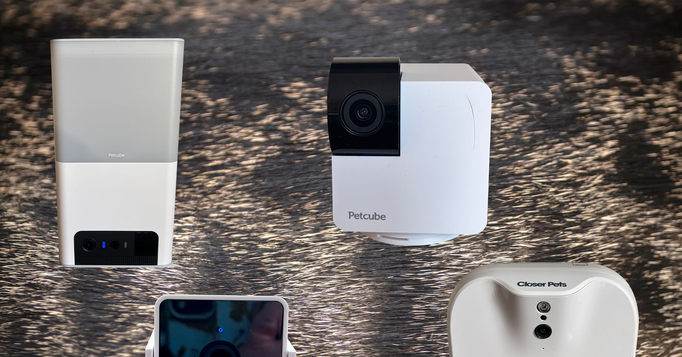 10 Best Pet Cameras (2025), Tested and Reviewed 10 Best Pet Cameras (2025), Tested and Reviewed