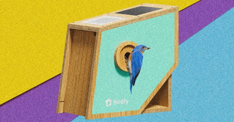 Birdfy Nest Polygon Smart Birdhouse Review: Primed for Pictures Birdfy Nest Polygon Smart Birdhouse Review: Primed for Pictures