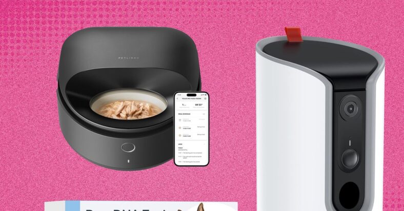 The 21 Best Early Amazon Pet Day Deals (2025) The 21 Best Early Amazon Pet Day Deals (2025)