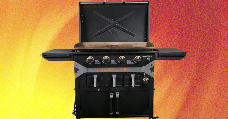 Blackstone Griddle Air Fryer Combo Review: Silly, but Nice Blackstone Griddle Air Fryer Combo Review: Silly, but Nice