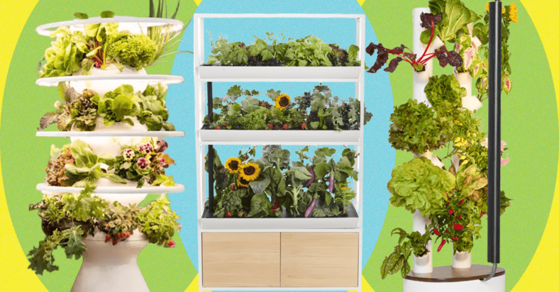 Best Indoor Garden Systems (2025), Tested and Reviewed Best Indoor Garden Systems (2025), Tested and Reviewed
