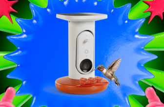 This Is the Best Smart Hummingbird Feeder I've Tested, and It's $50 off Right Now