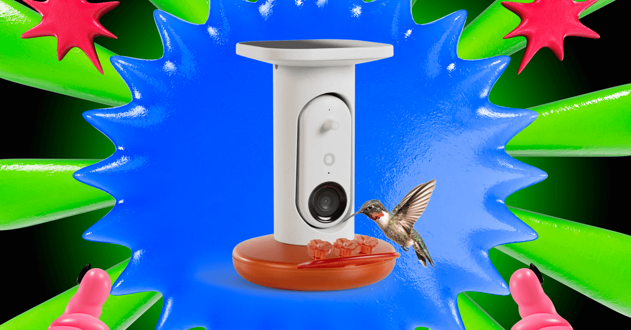 This Is the Best Smart Hummingbird Feeder I’ve Tested, and It’s  off Right Now